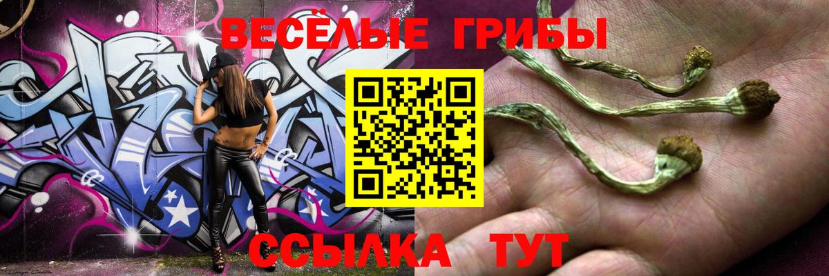 Солнечногорск  Галлюциногенные грибы Psilocybe  Вход с VPN 
